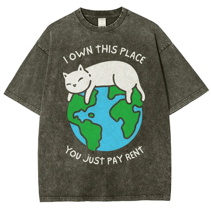 I Own This Place Vintage Distressed T-shirt