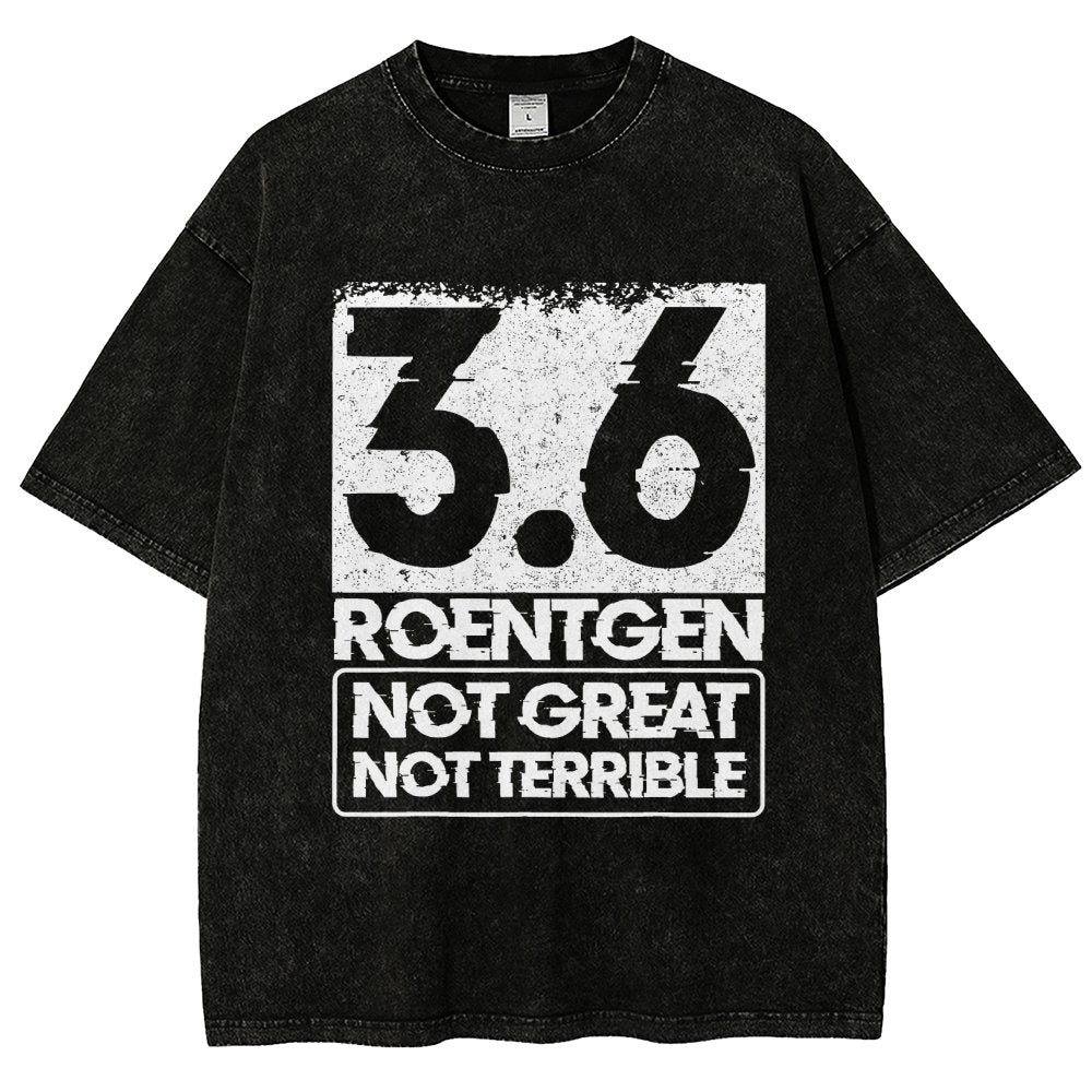 3.6 Roentgen Not Great Not Terrible Vintage Distressed T-shirt