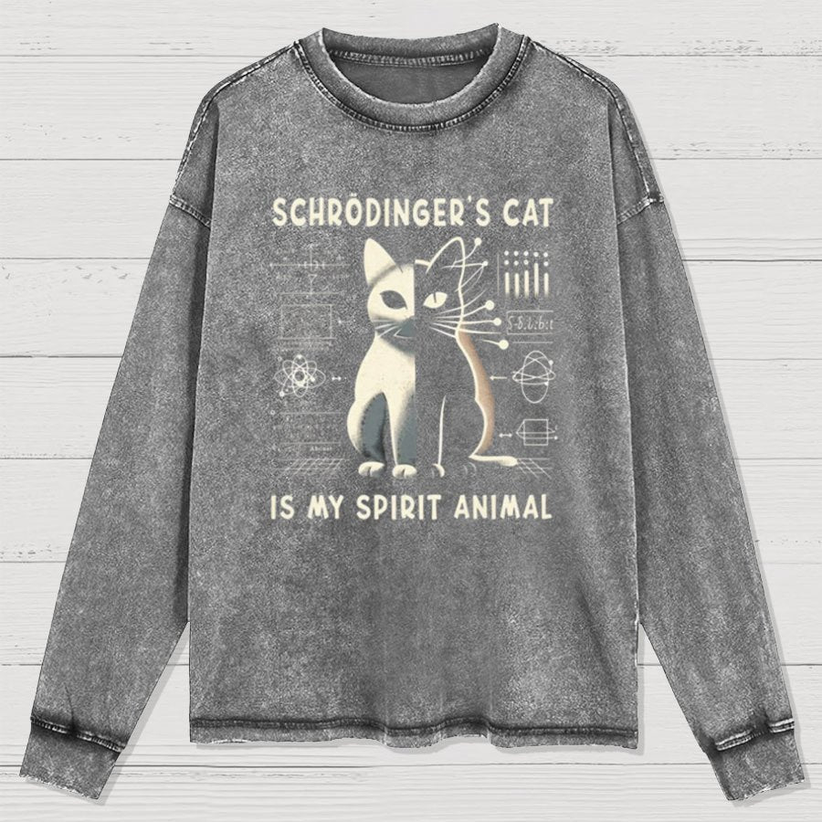 Schrodinger's Сat Science Washed Long Sleeve Tee