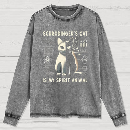 Schrodinger's Сat Science Washed Long Sleeve Tee