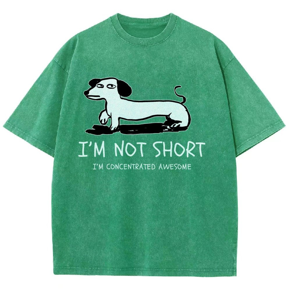 I'm Not Short Vintage Distressed T-shirt
