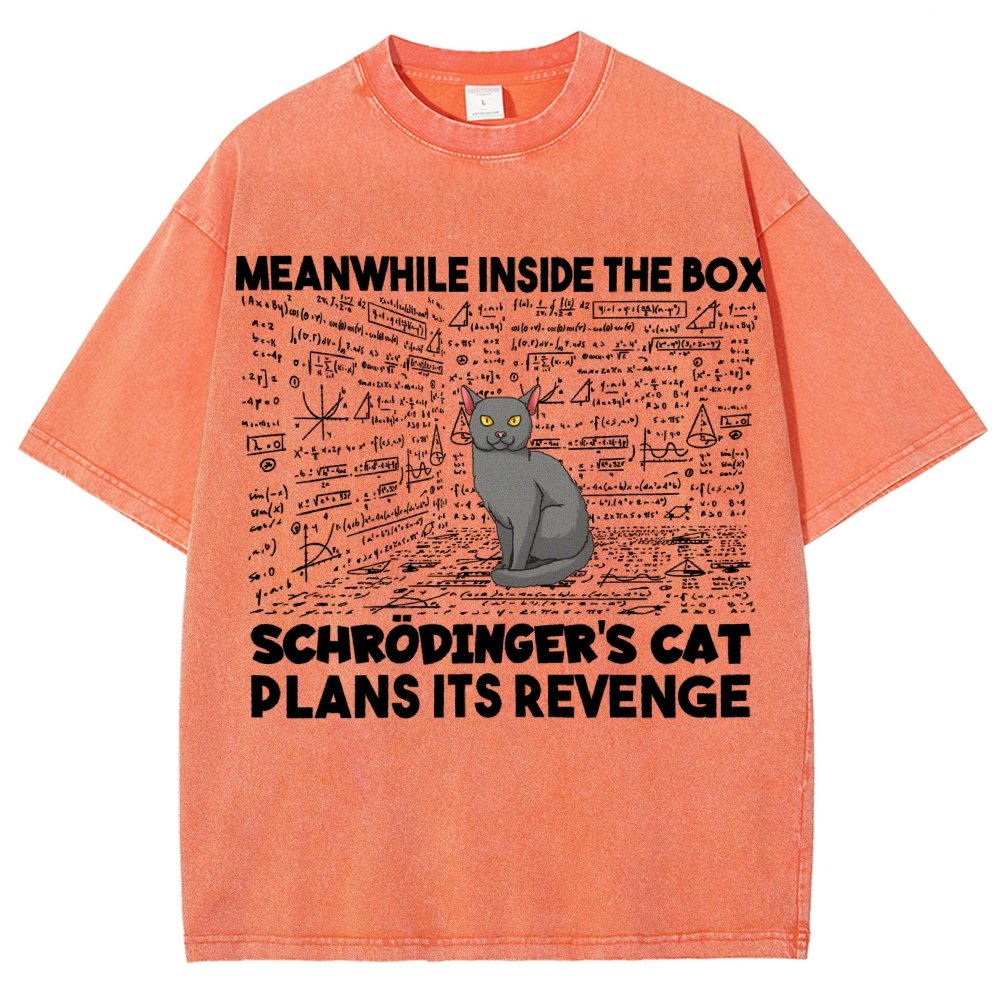 Inside The Box Schrödingers Cat Plans Its Revenge Vintage Distressed T-shirt