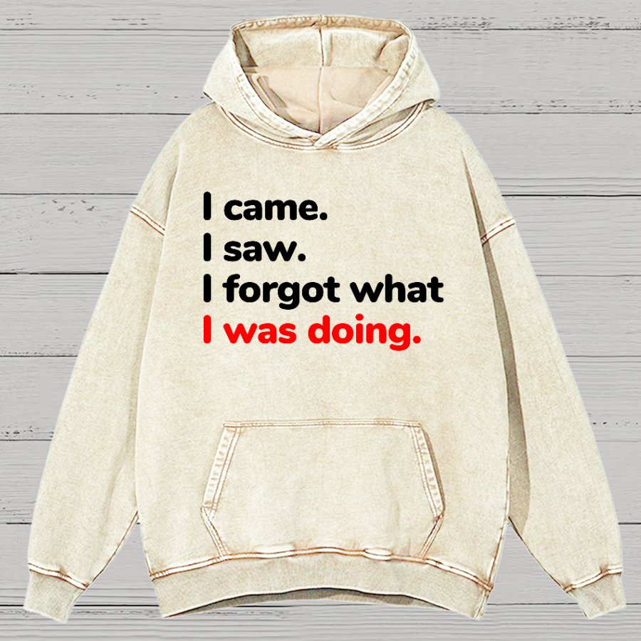 I Came. I Saw. I Forgot What I Was Doing Vintage Distressed Hoodie