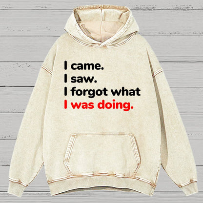 I Came. I Saw. I Forgot What I Was Doing Vintage Distressed Hoodie