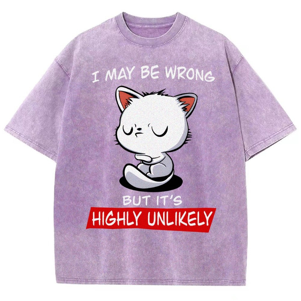 I May Be Wrong Vintage Distressed T-shirt