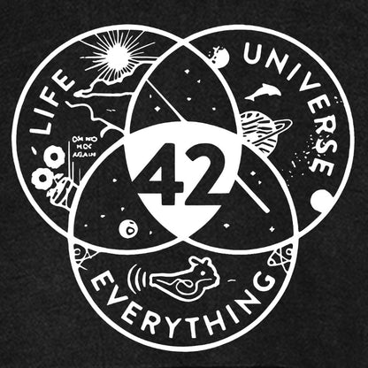 42 Answer To Life The Universe Vintage Distressed Hoodie