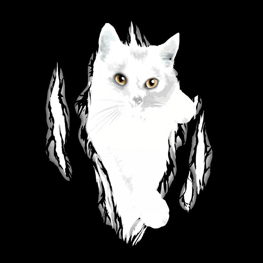 Cats Funny T-Shirt