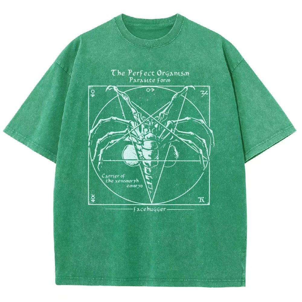 Mystery Pentagram Vintage Distressed T-shirt