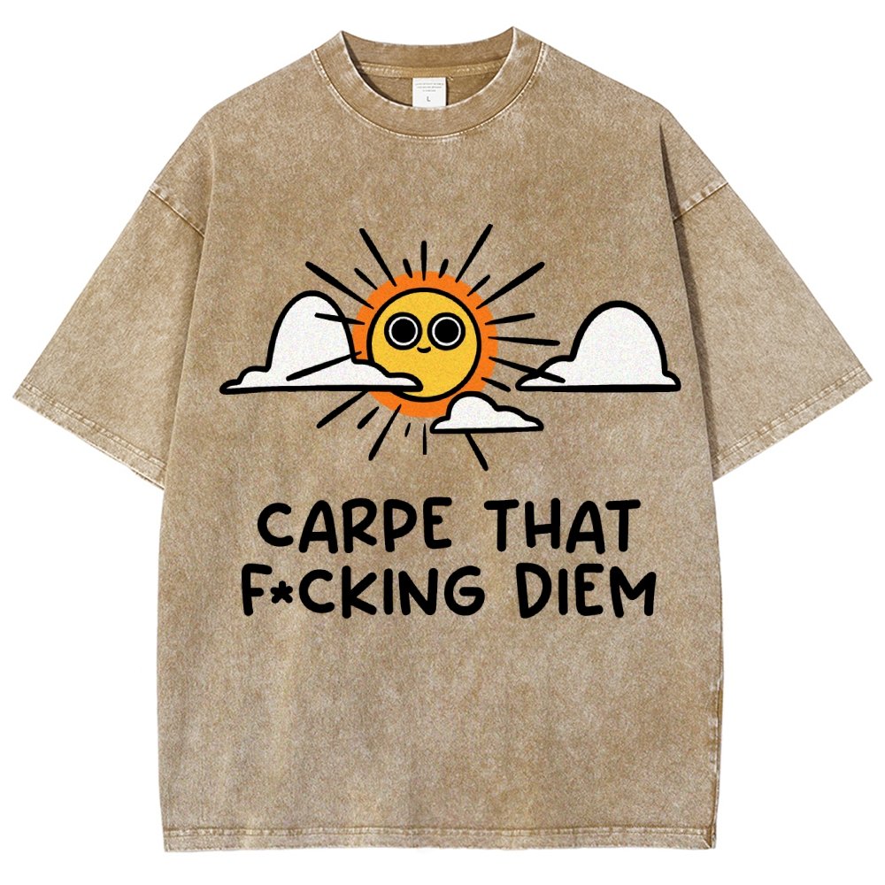 Carpe Diem Vintage Distressed T-shirt