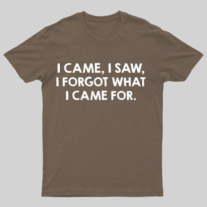 I Came and Saw Funny Geeky T-Shirt