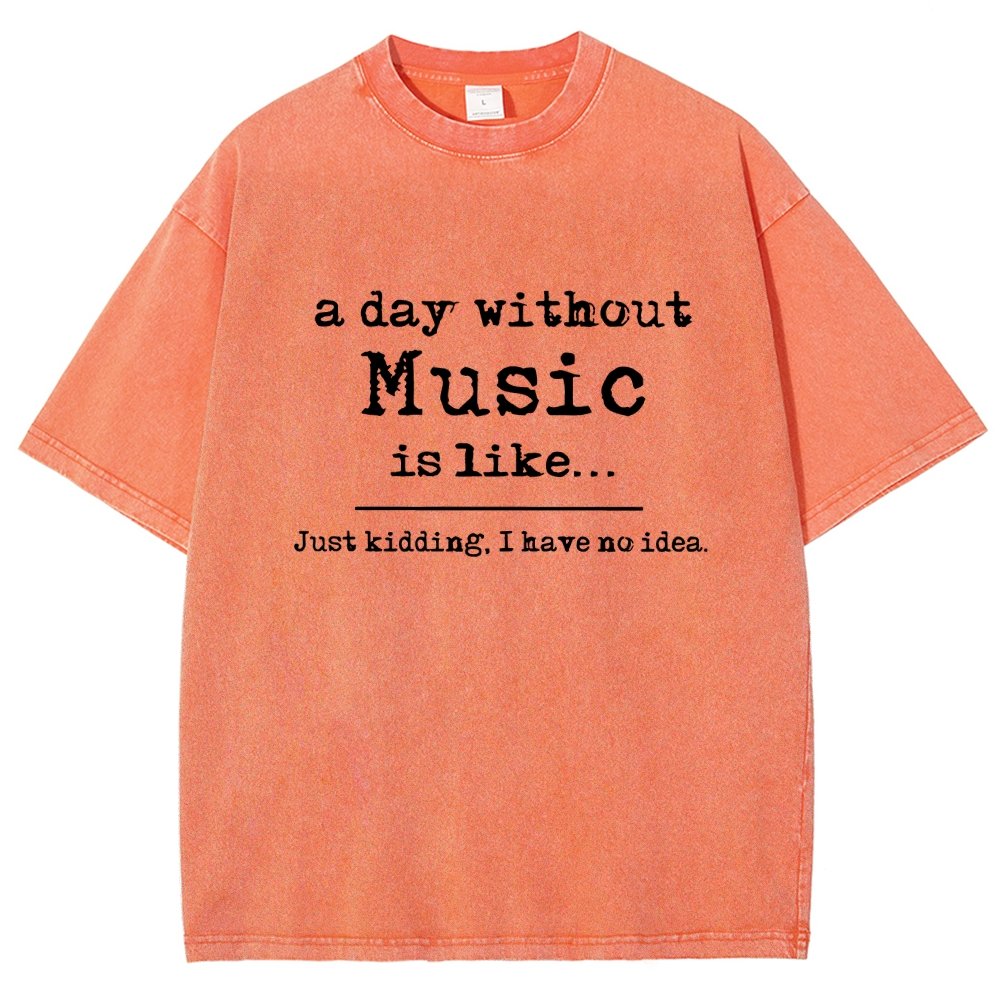 A Day Without Music Is Like Vintage Distressed T-shirt