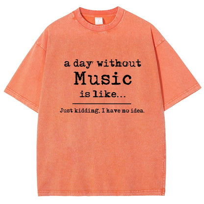 A Day Without Music Is Like Vintage Distressed T-shirt