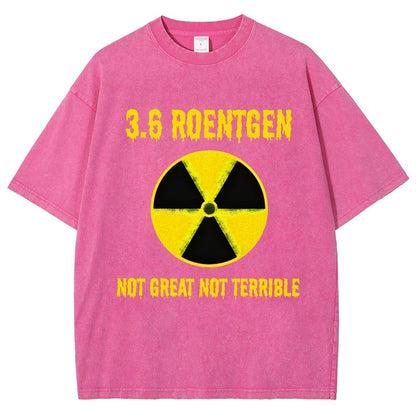 3.6 Roentgen Not Great Not Terrible Vintage Distressed T-shirt
