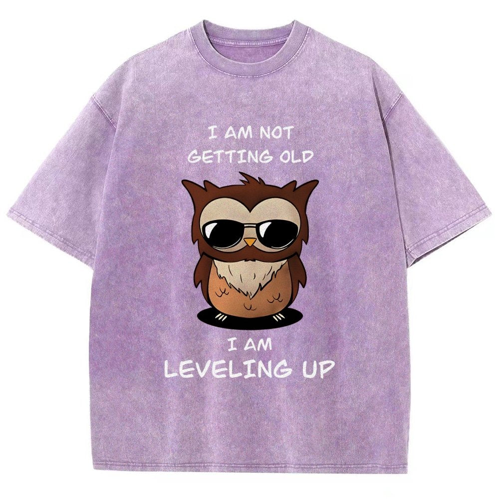 Leveling Up Vintage Distressed T-shirt