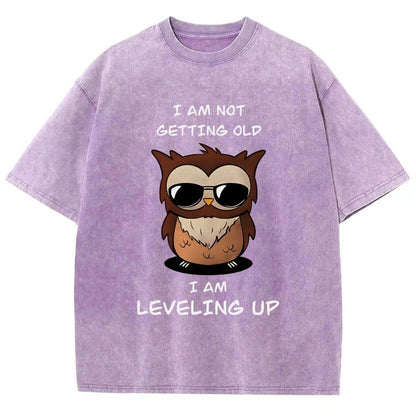 Leveling Up Vintage Distressed T-shirt