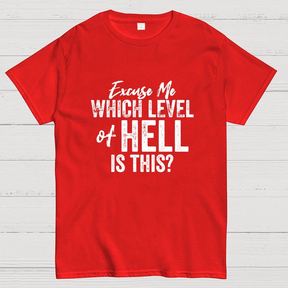 Excuse Me Which Level of Hell is This？Geek T-Shirt