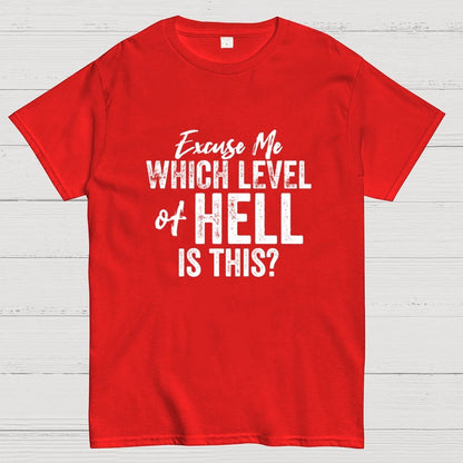 Excuse Me Which Level of Hell is This？Geek T-Shirt