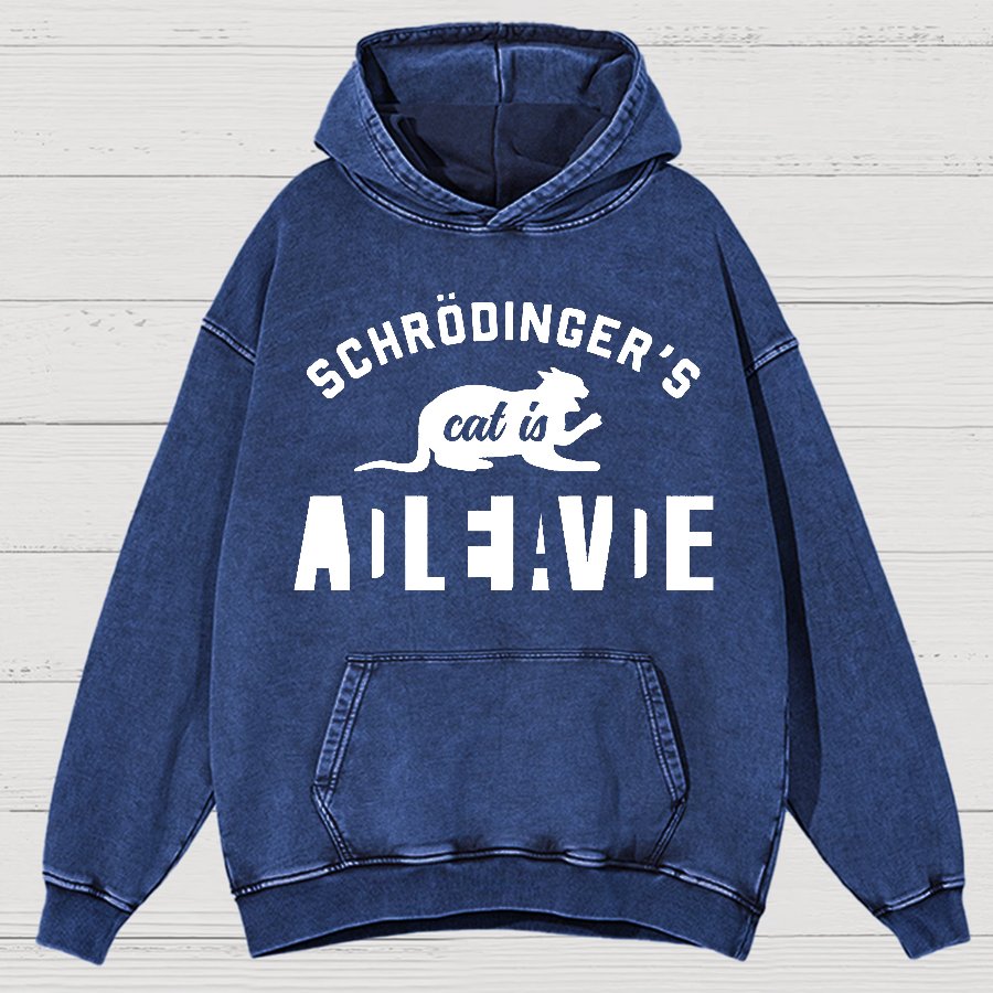 Schrodinger's Cat Vintage Distressed Hoodie
