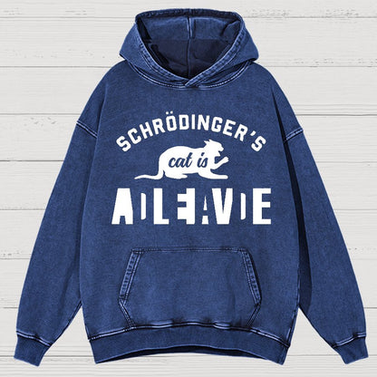 Schrodinger's Cat Vintage Distressed Hoodie