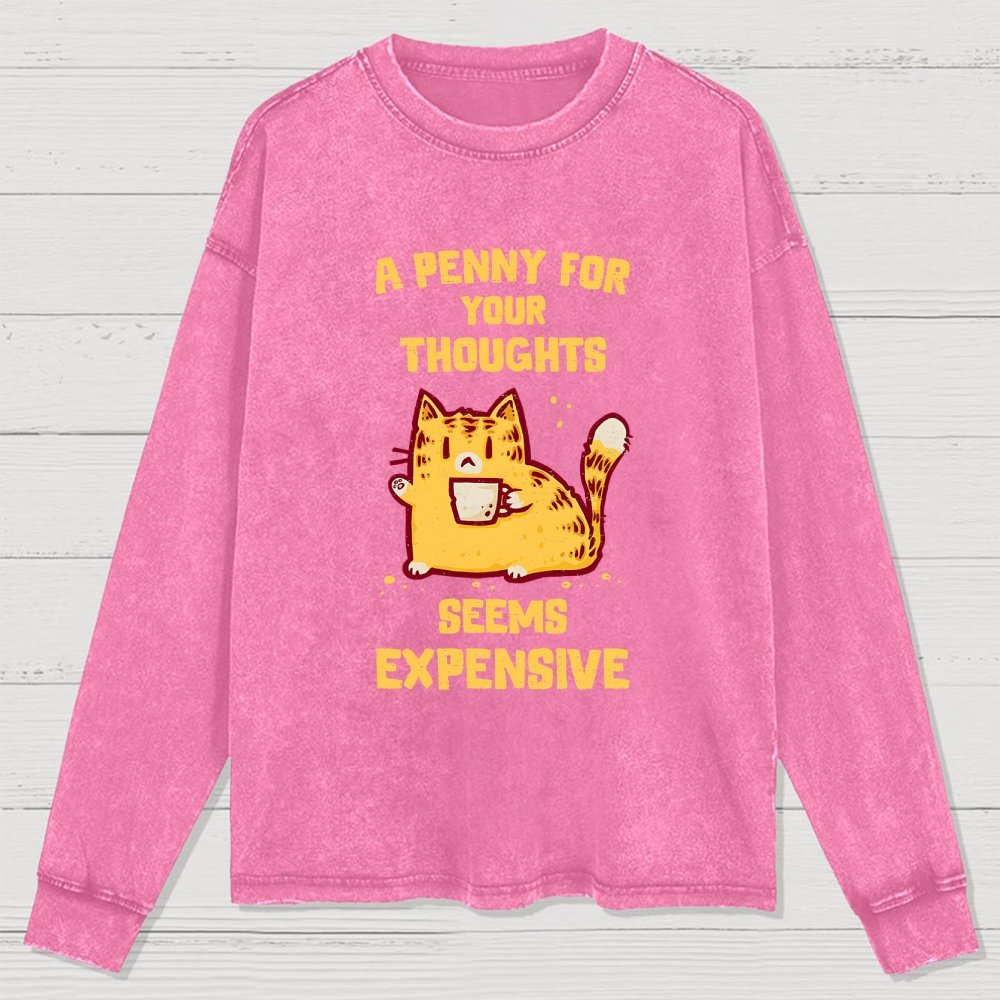 A Penny Seems Expensive Washed Long Sleeve Tee