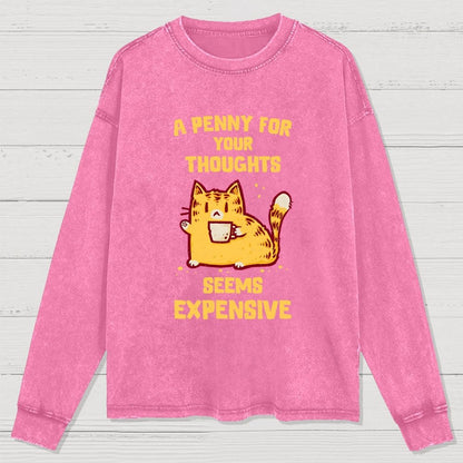 A Penny Seems Expensive Washed Long Sleeve Tee