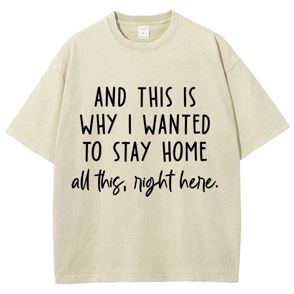 Sarcastic Introvert And This Is Why I Wanted To Stay Home Vintage Distressed T-shirt