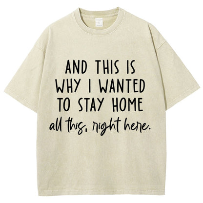 Sarcastic Introvert And This Is Why I Wanted To Stay Home Vintage Distressed T-shirt