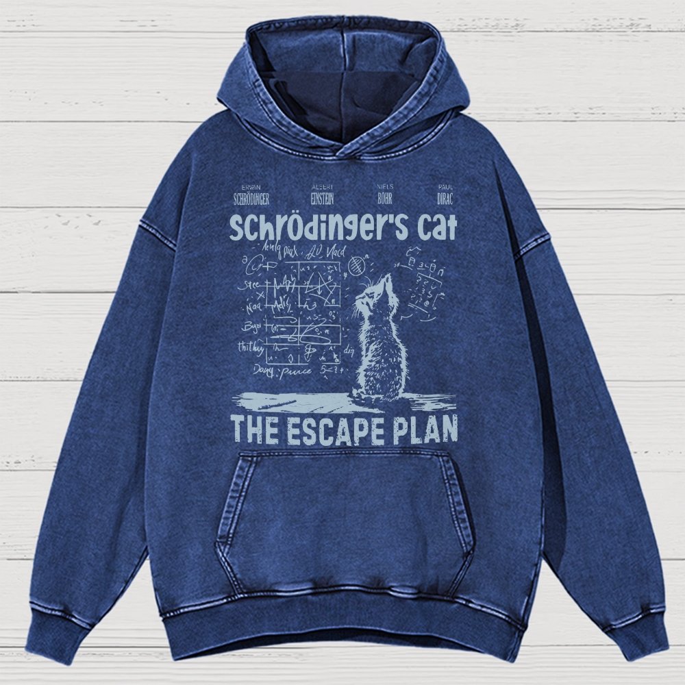 Schrodinger's Cat Escape Plan Interesting Physics Science Vintage Distressed Hoodie