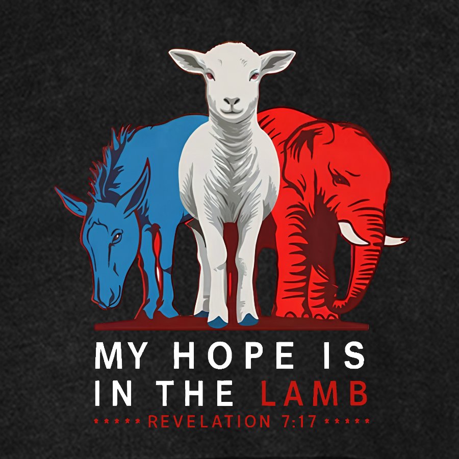 My Hope Is In The Lamb Vintage Distressed Hoodie