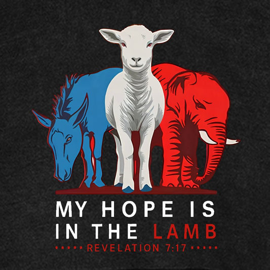 My Hope Is In The Lamb Vintage Distressed Hoodie