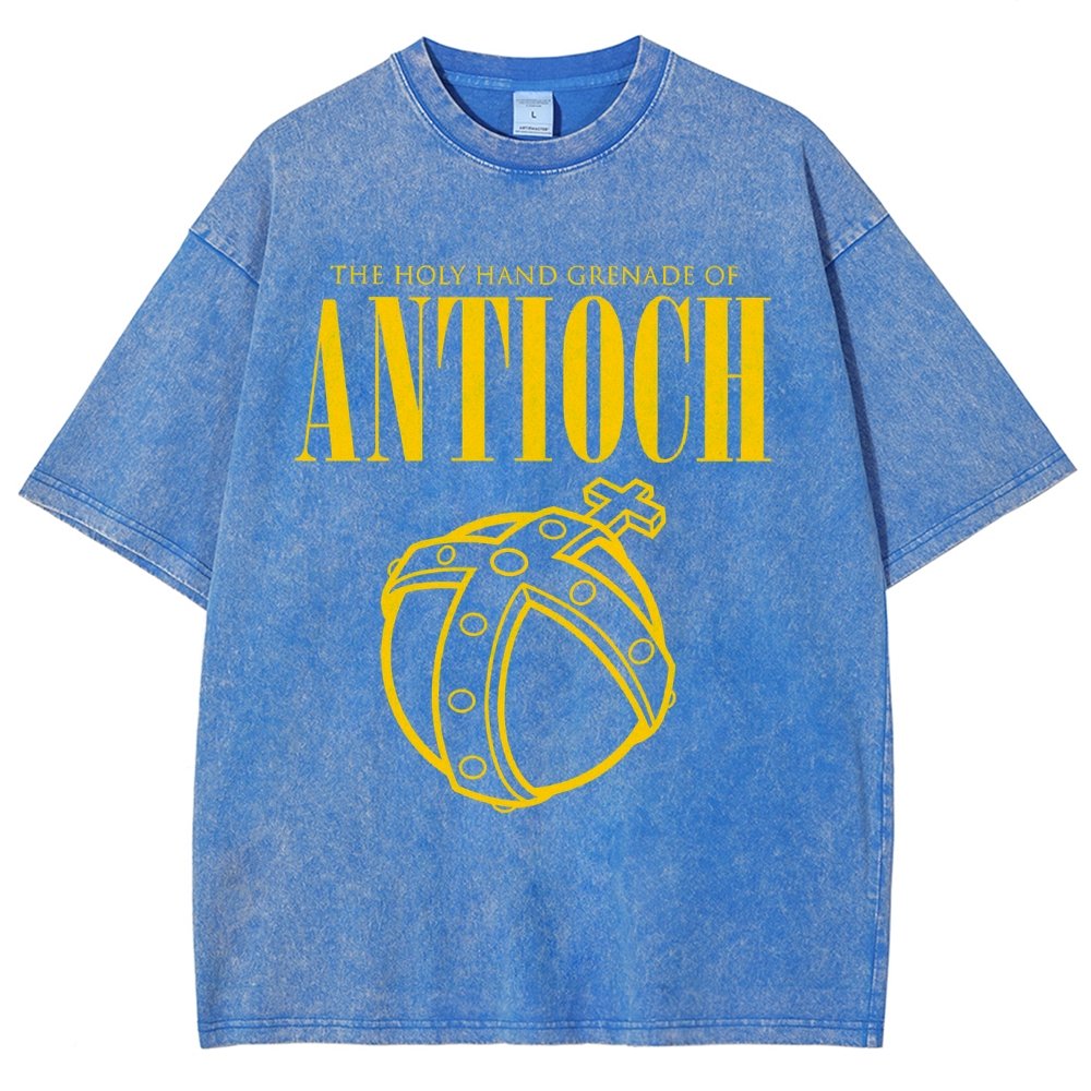The Holy Hand Grenade of an Ancient Place Vintage Distressed T-shirt