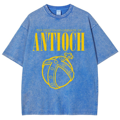 The Holy Hand Grenade of an Ancient Place Vintage Distressed T-shirt