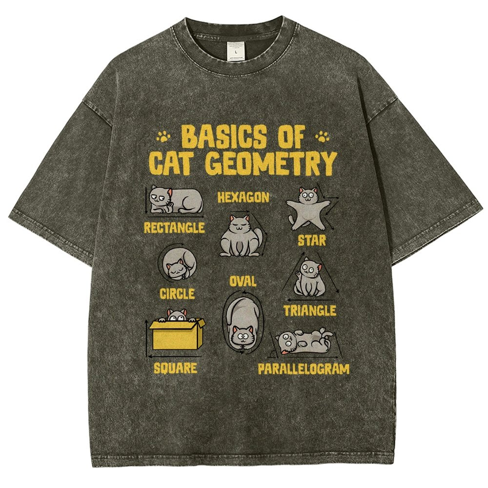 Basics of Cat Geometry Vintage Distressed T-shirt
