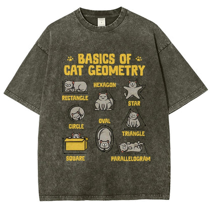 Basics of Cat Geometry Vintage Distressed T-shirt