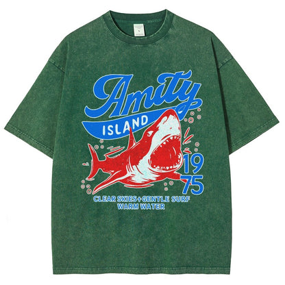 Seaside Town 1975 Vintage Distressed T-shirt