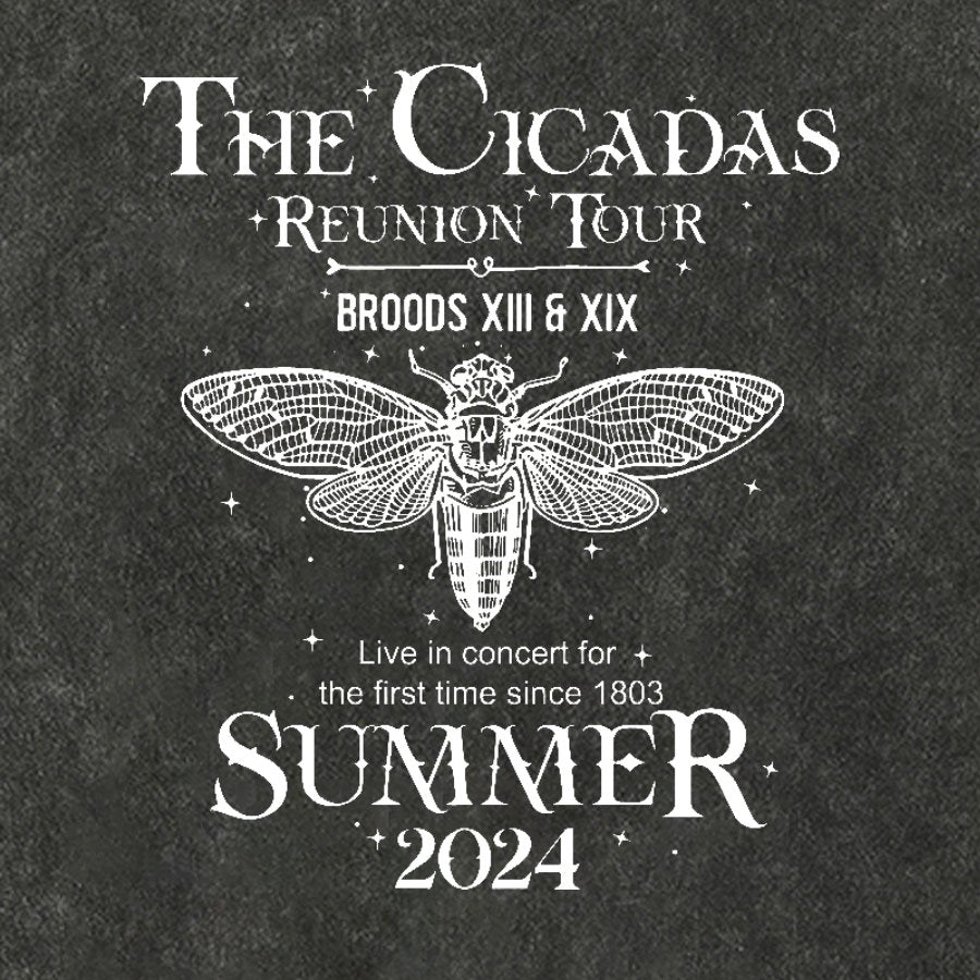 The Cicada Reunion U.S Tour 2024 Cicada Cotton Hat