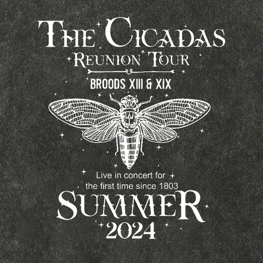The Cicada Reunion U.S Tour 2024 Cicada Cotton Hat