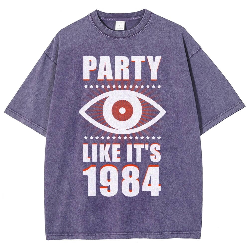 Big Brother is Watching You Party Vintage Distressed T-shirt