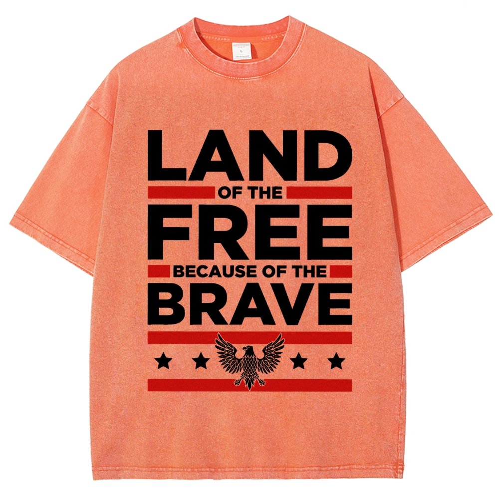 Because of the Brave Vintage Distressed T-shirt