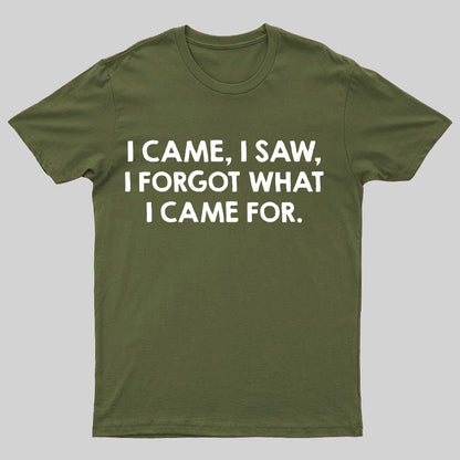 I Came and Saw Funny Geeky T-Shirt