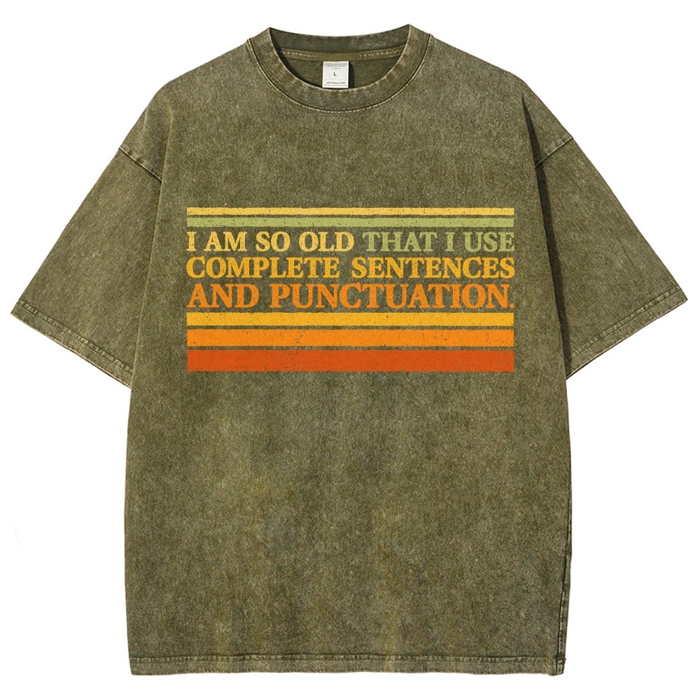 Complete Sentences and Punctuation Vintage Distressed T-shirt