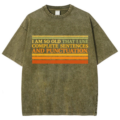 Complete Sentences and Punctuation Vintage Distressed T-shirt