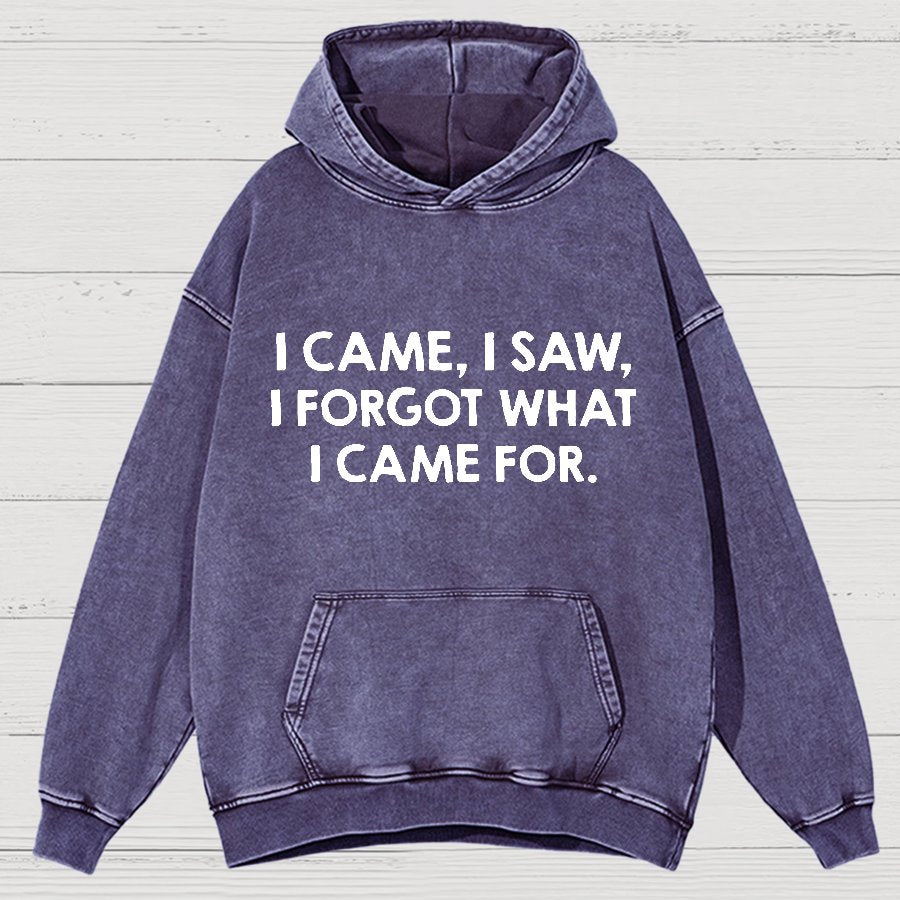 I Came and Saw Funny  Vintage Distressed Hoodie