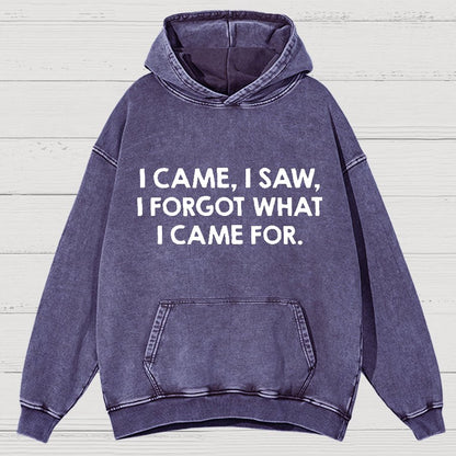 I Came and Saw Funny  Vintage Distressed Hoodie
