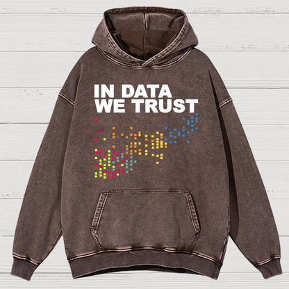 In Big Data We Trust Vintage Distressed Hoodie
