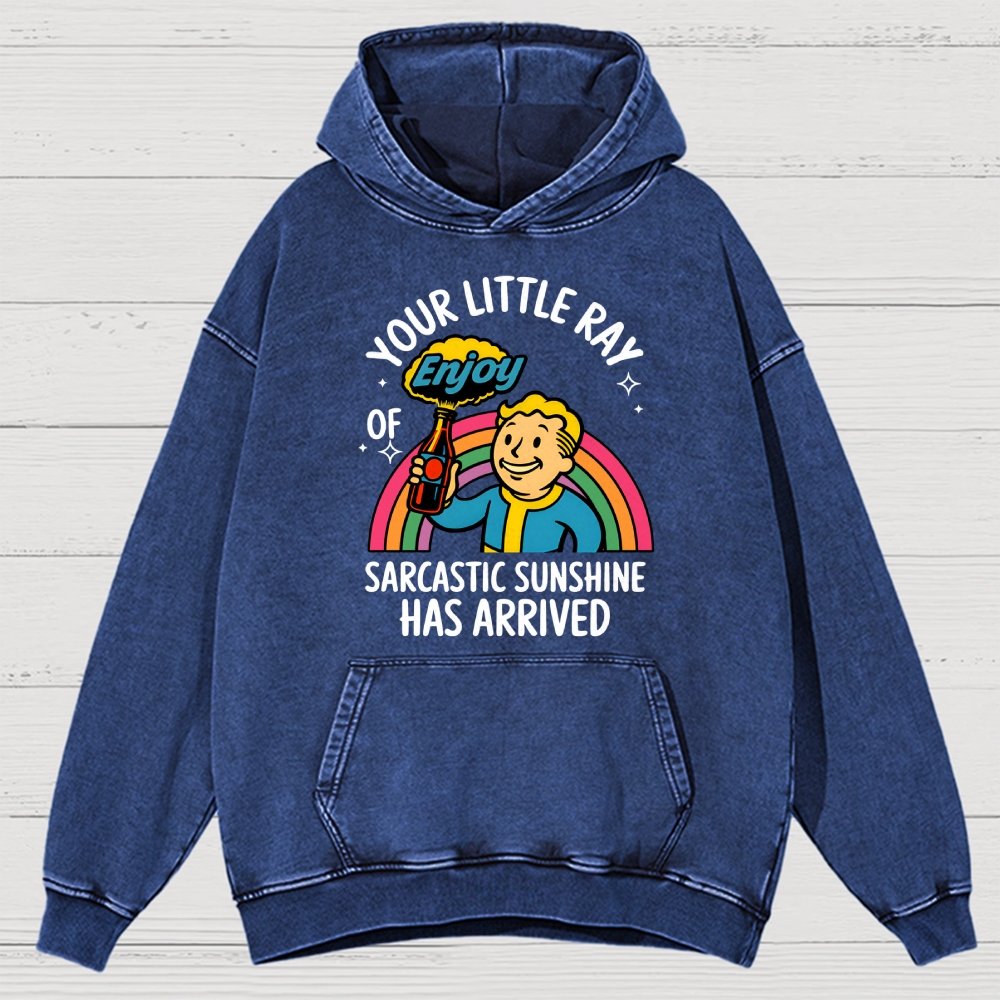 Your Little Ray Of Sarcastic Sunshine Has Arrived Vintage Distressed Hoodie