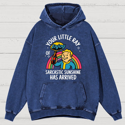 Your Little Ray Of Sarcastic Sunshine Has Arrived Vintage Distressed Hoodie