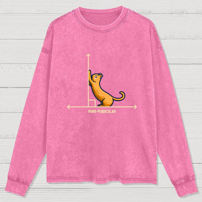Purr-Pendicular Cute Maths Cat Premium Washed Long Sleeve Tee