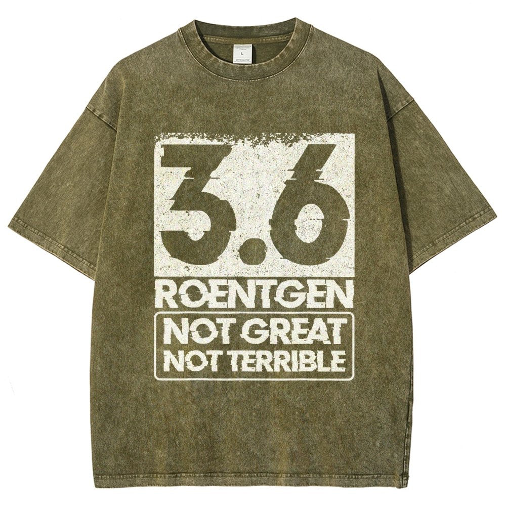 3.6 Roentgen Not Great Not Terrible Vintage Distressed T-shirt