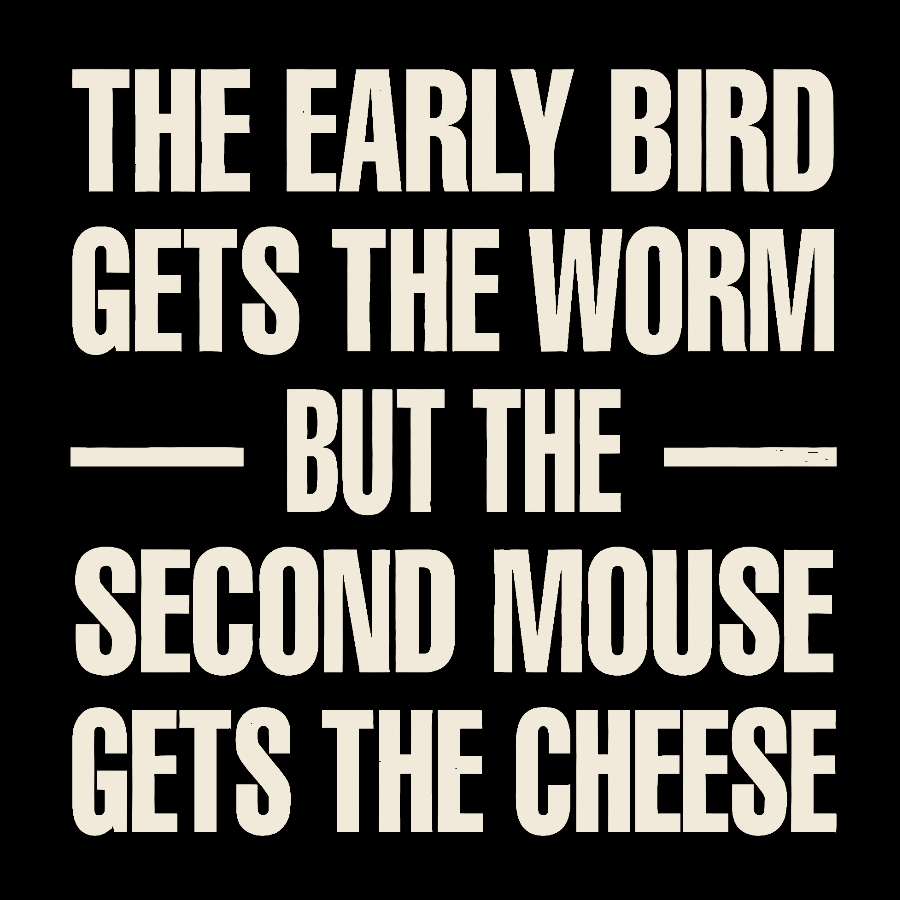 The early bird gets the worm... but the second mouse gets the cheese. Geek T-Shirt
